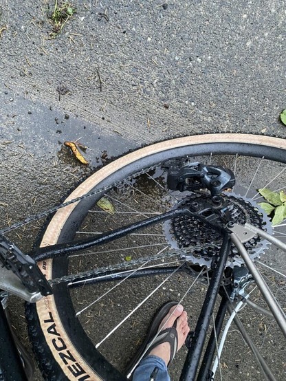 Just waxed my chain and then a bomb cyclone hit, went for a long ride in the rain, is my drivetrain toast?