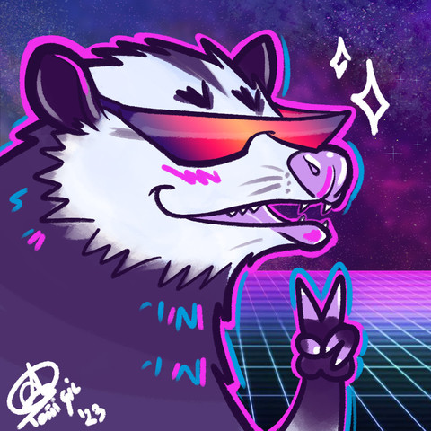It's a cartoony icon pic. This is a vapor wavy kinda thing, with an opossum making a peace sign and wearing sunglasses. The background is a starry night and a net in perspective, retro wave style.