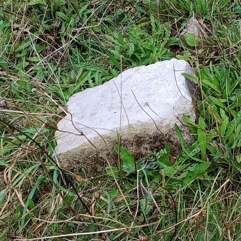 A grey mottled rock (resembling fruit cakae) with white lichen on the top and down the top part of the side (resembling icing and marzipan)