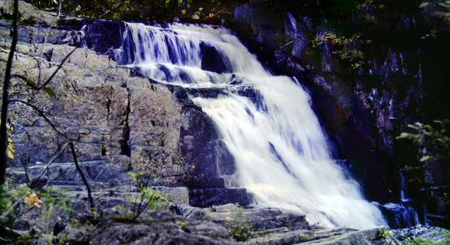 A large brook cascades over precipitous ledges of cracked gray slate laid out like a series of irregularly placed steps. The surrounding forest is very dim in the late day light.