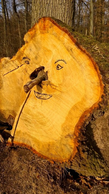 FlÃ¤che eines gefÃ¤llten Baumes mit aufgemaltem Gesicht. Als Nase dient ein Ast, der in die hohle Mitte des Baumstamms gesteckt wurde.