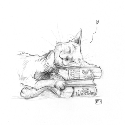 Bleistiftzeichnung einer Katze, die ihren Kopf auf einen Stapel Bücher gebettet hat und friedlich schlummert.