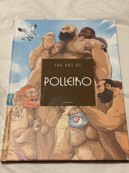 Photograph of book cover, that includes five hairy men surrounding one man, with a beach and blue sky as a background. A seagull looks on with a mixture of surprise and horror. A brown square with title and publisher info hides the central man’s genitals. Title reads in caps: “The art of Polleiro; Chaumington”.