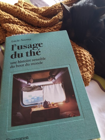 Le livre "l'usage du thÃ©" de Lucie AzÃ©ma posÃ© sur un pull jaune avec un petit chat noir endormi Ã  cÃ´tÃ©. La couverture est turquoise avec une photo d'une thÃ©iÃ¨re posÃ©e prÃ¨s de la fenÃªtre d'un wagon lit.