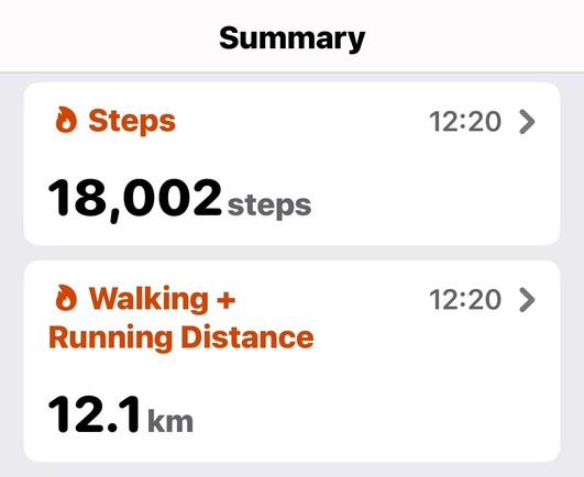 A screenshot of a step counter (18,002 steps) and walking distance tracker (12.1km).