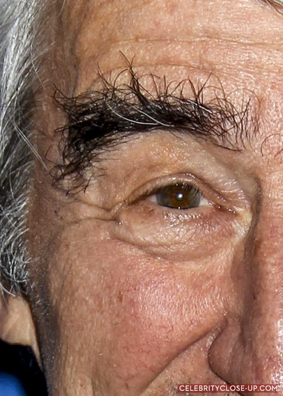 close up photo of Sam Waterston's hairy eyebrows