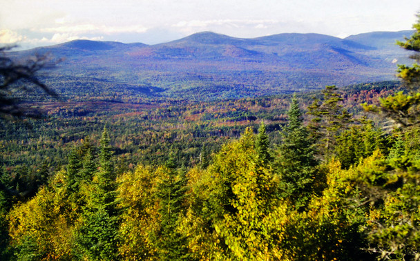 It is late in the day. Shadows are long, the sun is low in the sky, washing out the sky and glaring off the tops of clods banked along the western horizon. We are atop a mountain looking out over the treetops of a mixed forest of fir, spruce and northern hardwoods turning bright yellows and golds. Across a sprawling wooded valley with splashes of golds, reds and oranges another lofty mountain range runs across that western horizon.