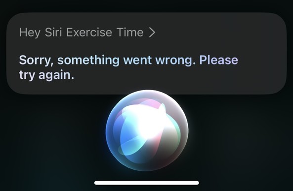 The screenshot of Siri on iOS 17 being given the command РђюHey Siri Exercise TimeРђЮ, which is the name of a Shortcut that starts a Workout.

Siri responds with РђюSorry, something went wrong. Please try again.РђЮ