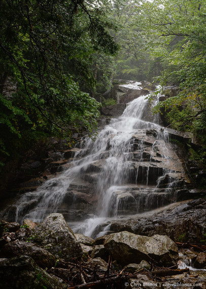 A long exposure photograph of a waterfall flowing over several levels of craggy rocks beneath overhanging tree branches on a foggy day.