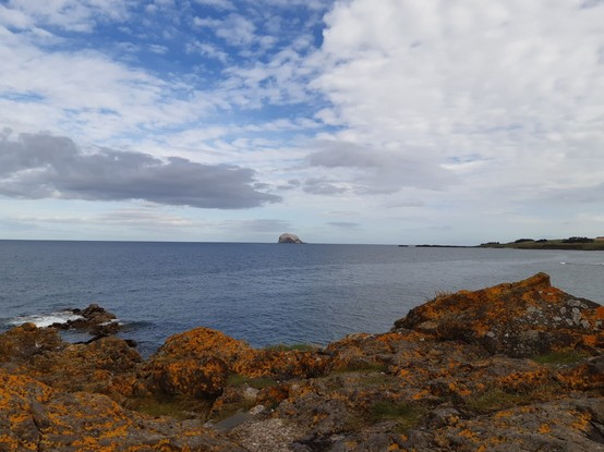 Blick auf den Bassrock - ein Vogelschutzgebiet in Schottland. Im Vordergrund sind rÃ¶tliche Felsen zu sehen, anschlieÃŸend die dunkle Nordsee und am Horizont der Felsen. Den Himnel ziert eine helle Wolkendecke.