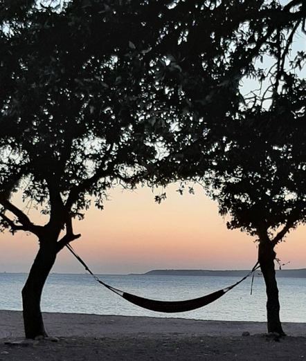 HÃ¤ngematte zwischen zwei BÃ¤umen an der Ã„gÃ¤is, Meer mit pastelligem Sonnenuntergang, im Hintergrund eine Insel.