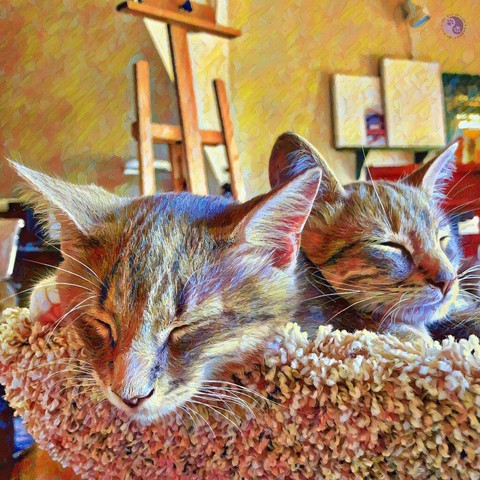 The heads of two gray tabby kittens are visible above a carpeted cat trough, with near-identical drowsy faces, illustrating Still Bonded, All Grown.