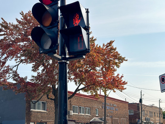 "No crossing" street signal on a corner. In the background, a brown brick building and a maple tree with its leaves all changed to reds and golds.