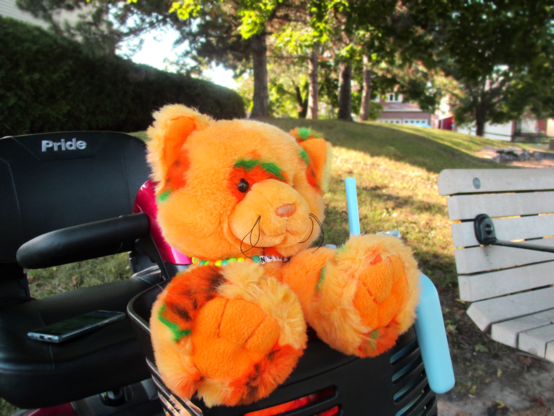Nutmeg, the same orange Build a Bear Pumpkin Fun Kitty, is pictured sitting in the basket of a red mobility scooter, along with a light blue water bottle in the basket beside her. She is pictured at the park, with a bench on the left side of the scooter, and some houses, trees, and a hedge in the background.
