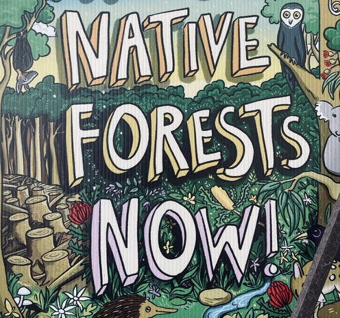 Save Native Forests Now poster
