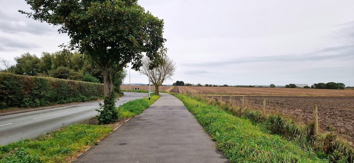 Cycle path next to a road. Tree in foreground and field to the right.