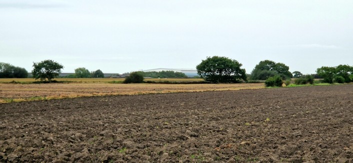 Ploughed field with trees in the background.