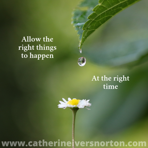 A drop of water is about to fall from a leaf onto a waiting flower below. The caption reads, "Allow the right things to happen at the right time."