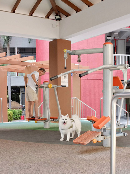 Elderly man exercising at the leg station while his pet dog await, in a shed with exercise equipment for the elderly.