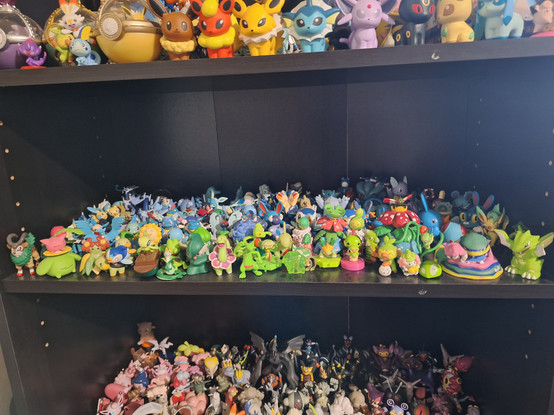 Miles has shelves upon shelves of figures, including Alolan Muk, Scyther, Articuno, Mew, Eevee evolutions, and almost any Pokémon you can think of!
