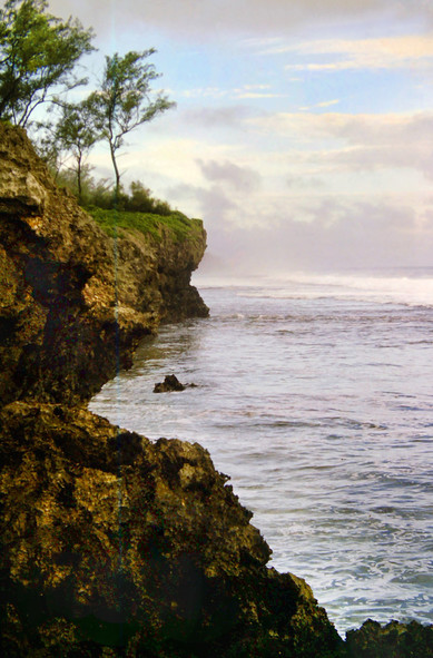 It is very late in the afternoon. The partly cloudy sky has patches of light blue, with low clouds and fog along the horizon. To the right is the blue green ocean, graying in the fading light. A low point of land is just visible through that low cloud. To the left are rugged naked brown fossilized coral sea cliffs, almost vertical, dozens of feet (20-30 meters) high. A rock of the same material is just offshore. Although the cliff faces are barren, there is lush green ground cover growing right up to the edge at the top, with green shrubs and trees growing from it starting a few feet (1-2 meters) in. The tall, slender trees are swaying gracefully in an onshore breeze.