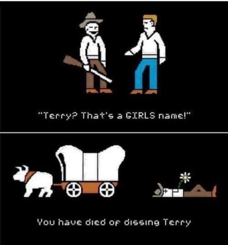 Two comic panes in the style of the game Oregon Trail. The frost is two guys where one of them is holding a rifle. The caption says “Terry? That’s a GIRLS name!”
The second pane is the bull pulling the cart and behind that is a dead guy on the ground with a flower growing out of him. The caption says “You have died of dissing Terry”