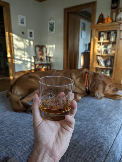 Photo of me holding up a glass of bourbon with an out of focus golden retriever in the background