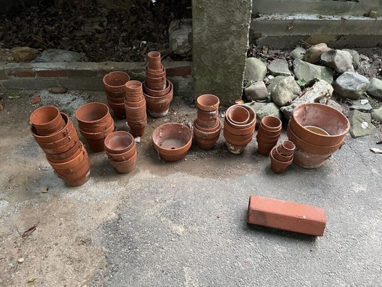 How do I use the 89 terracotta pots I inherited from my grandmother? I am a newbie gardener, she was an avid gardener. Most of them seem pretty small for plants? Some are also moldy and/or a little crumbly on the outside. I think they're beautiful and would love to use them! Thanks!