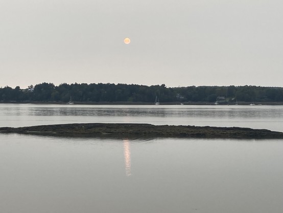 Overcast sky, a strip of dark land, a strip of grey water, a strip of low flat dark rocky island, grey water. The sun is a tiny pale orange disk in the sky, with a pale orange streak below it that is its reflection in the water.