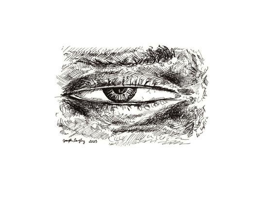 This is a, ink drawing of a grumpy or annoyed human eye that is partially open.