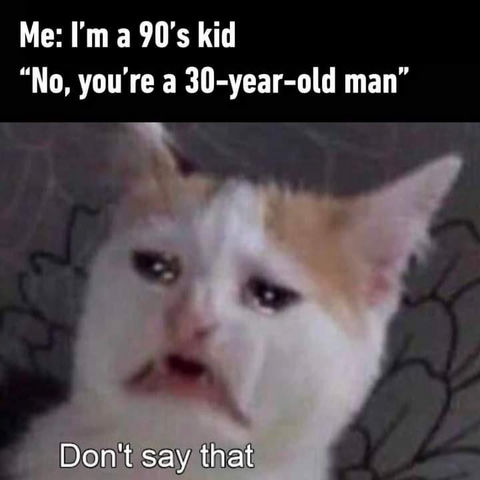 Me: I'm a 90's kid
"No, you're a 30-year-old man"
*Very sad cat with tears in it's eyes saying: "Don't say that"*
