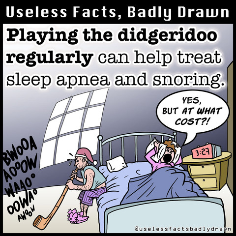 Playing the didgeridoo regularly can help treat sleep apnea and snoring.