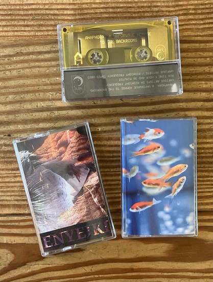 3 tape cassettes. A black-tinted yellow case for "ANAPHORA: A VAPORWAVE TRIBUTE TO THE BACKROOMS," a semi-transparent woman's face over an eroded canyon for "ENYEIKI," and some little fish over a blue watery background for something in Japanese which might be "fishfishvapor" per the website.