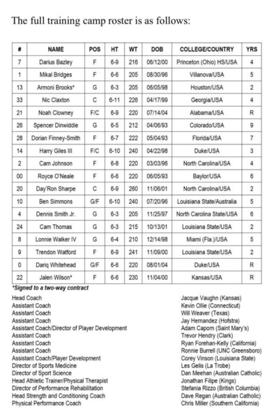 Brooklyn Nets full training camp roster