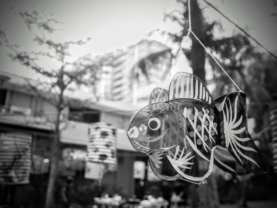 Fish shaped lantern hung up in a open air mid autumn gathering in the neighborhood.