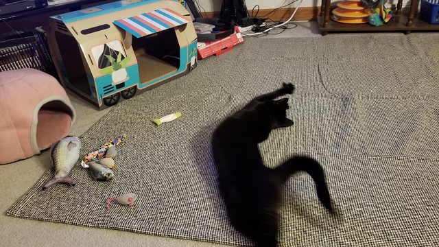 Photo of a black cat stretching in the middle of a greyish woven throw rug alongside her catnip toys and  two small cat houses