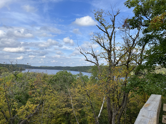 Overlooking the St. Croix River, which borders Wisconsin and Minnesota. Iâ€™m standing in the Minnesota side.