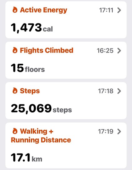 A screenshot of a health tracker showing:
- Active energy: 1,473 cal
- Flights climbed: 15 floors
- Steps: 25,069 steps
- Walking distance: 17.1 km