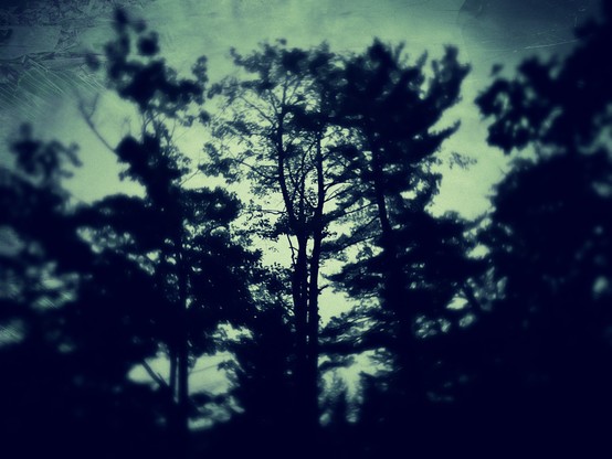 Spooky and mostly out-of-focus tree line, messed up with hipstamatic
