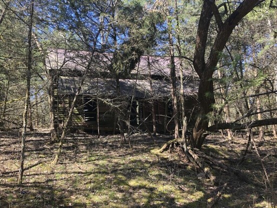 Update post: restoring house and barn on the property I want to buy.
