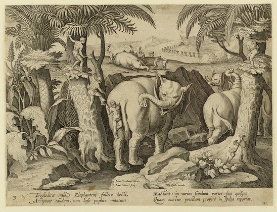 An item from the Smithsonian’s collection listed as “Cavemen Chasing Elephants, plate 3 from the Venationes Ferarum, Avium, Piscium series”.

The museum’s description is:
Research in Progress



Because this is an automated account selecting items at random from a list of 50,000 it hasn't been possible to create full image descriptions yet.