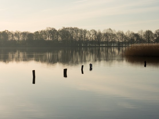 Blick auf einen kleinen See am frühen Morgen. Im Hintergrund sieht man Bäume am Ufer. Rechts ragt etwas Schilfgras ins Bild und diagonal von links bis zu Bildmitte spiegeln sich vier aus dem See ragende Holzpfähle I'm Wasser.