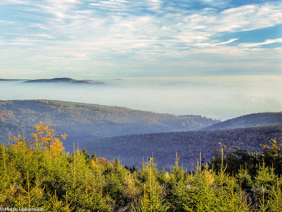 A photograph of a foggy landscape in Autumn. The upper half shows a partially clouded sky, the misty horizon almost invisible. Blue-green hill tops in the background emerge from fog filled valleys. The middle part shows forest covered misty hills in early Autumn colors. In the foreground, young fir trees bathe in the early morning light. On the right, a tree with yellow foliage emerges among them.
