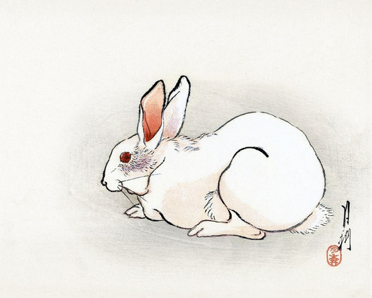 Japanese woodblock print of a white rabbit