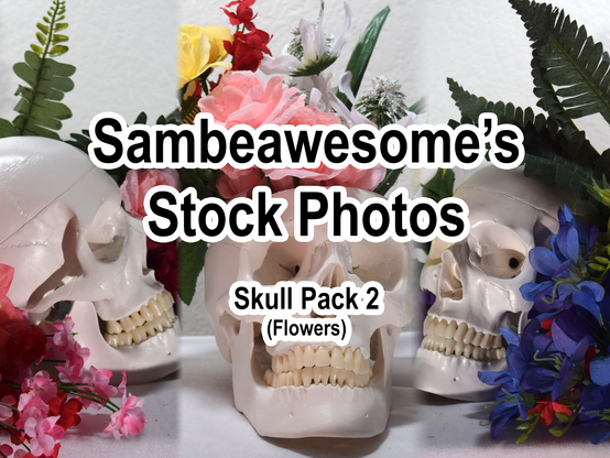 A set of three photos cropped together of a human skull with flowers and text overlaying that says: Sambeawesome's Stock Photos, Skull Pack 2 (Flowers)