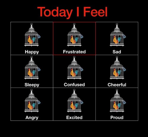 “Today I feel” with a list of emotions. Each one illustrated by a locked cage with a rooster inside