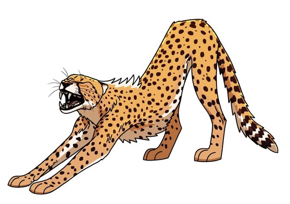 A digital drawing of a stretching cheetah.