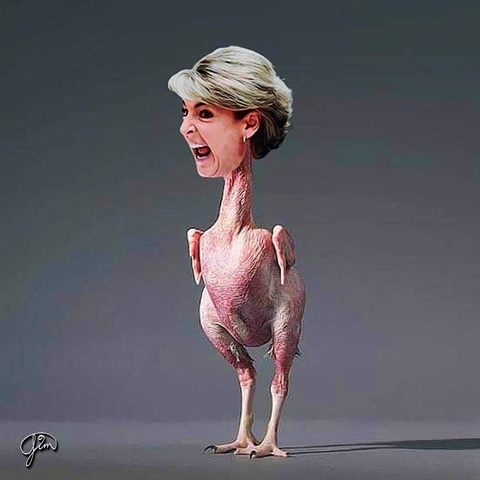 A rather disturbing depiction of Australian ultra-conservative politician Michaelia Cash's head morphed onto the body of a plucked chicken.