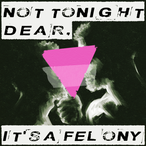A black and white, high contrast sketch of two bearded masculine head silhouettes intimately close to one another, one's hand on the other's chin, obscured by a tattered pink downward triangle taped over their faces. The text reads, "Not tonight dear, it's a felony."