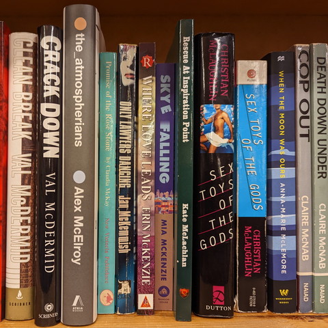 Photo of a shelf of books with gay themes.